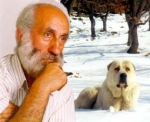 Ցավը ներս արած