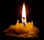 Ցեղասպանված լինելն ամոթալի է