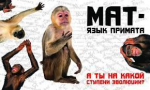 Հայհոյանքը և մենք