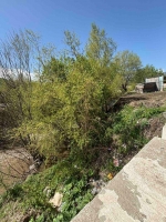 Փամբակը չորացնողները Սամսոնյան Նարեկն ու Սաղաթելյան Վազգենը չեն, որ կալանավորվեն