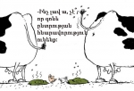 «Այլընտրանք»