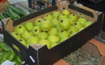 Ինչու ներկրողին չեն բացահայտում