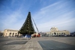 Ապամոնտաժվում են եղևնիները