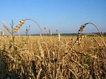 Ահա և արտադրողականության բարձրացում...