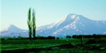 Հողը չի մոռանում իր իսկական տիրոջը