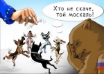 Կուտը կերան