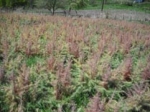 «Թող նախ մարդու պահանջները բավարարելուն ուղղված քայլեր ձեռնարկեն, հետո պահանջներ ներկայացնեն»