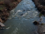 Հանուն ջրամբարի