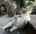 Երբ թոշակառու ես