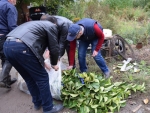 Գաճաճ ընկուզենու և արևելյան խուրմայի տնկիներ՝ Ներքին Կարմիրաղբյուր համայնքին