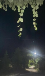 Աստղահուզում