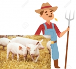 Խոզահոտով ֆրանսիական դուխի