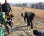 «Դինոզավրերը» ծառ են տնկում