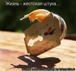 Իրականությունը դաժան բան է