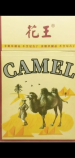 Քո փրկությունը CAMEL-ի մեջ է