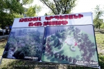 Կրպեյանի անվան այգու կարկաչն ու հառաչը