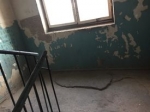 Մեր իրական պատկերը