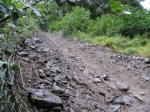Սողանք` Նոր Արեշում 
