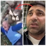 Նիկոլի հերթական հակահայկական քայլը 