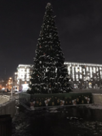 Շենգավիթում ուրախ է և երջանիկ