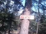 Իջևանն էլ է «անապատանում»