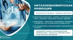 Հայաստանում, ի թիվս գրիպի և այլ սուր շնչառական վիրուսային վարակների, մոլեգնում է նաև վտանգավոր մետապնևմովիրուսը