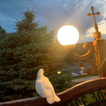 Հայ...