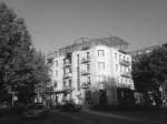Ցինիզմի բացիլի  շինարարական  մերկապարը