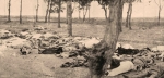 1915 թվական