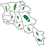 «Խիարը թարս ա բուսնում»