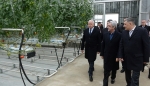 Կոտայքի մարզը մասնագիտանում է ջերմոցների գծով