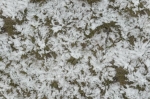 Ապրիլի 12-ի լույս 13-ի գիշերը Արարատյան դաշտում հնարավոր է հողի մակերևույթի -3․․․-4 աստիճան ցուրտ