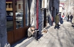 Հայը հայի ապրելը չի ուզում