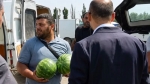 Հայաստանում նույնիսկ ձմերուկներն են քաղաքականացված