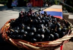 Հայաստանը դարձել է Գինու և խաղողի միջազգային կազմակերպության լիիրավ անդամ