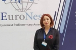 Գայանե Աբրահամյան. ՀՀ պատվիրակությունը կանխել է «Եվրանեսթ»-ի Բյուրոյի հայտարարությունում հակահայ ձևակերպման ներառումը