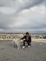 Կարս