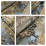 Մտքի տարօրինակ թռիչք ունեն Շենգավիթ վարչական շրջանի աշխատակազմի ներկայացուցիչները