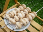 Շամպինիոնի օգուտն ու վնասը