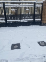 Անտերություն
