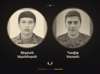 Պայքարեցին ապրելու համար, բայց՝ ապարդյուն