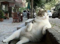 Երբ թոշակառու ես