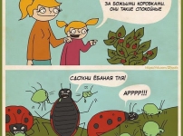 Ինչո՞վ են զբաղվում ԵՊՀ-ում