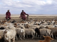 Ի դեպ