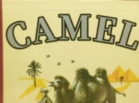 Քո փրկությունը CAMEL-ի մեջ է