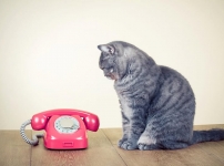 Քաղաքացիներից գումար «կորզելու» ևս մեկ հնարք