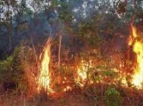 Հրդեհի բարձր ռիսկի գոտի ենք մտել