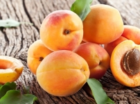 Իմաստության պտուղ