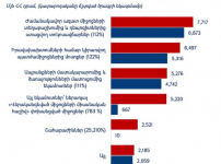 Հարազատ պետությունը պլանավորում է, թե որքան է քերելու քաղաքացու կաշվից