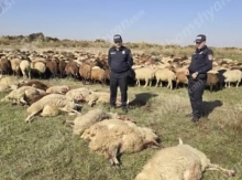 ՀԷՑ-ի առաջին զոհերը